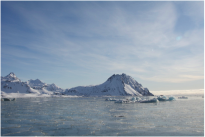 Cumberland bay frozen over