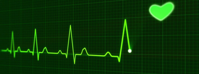 Cardiovascular Insights 2 heartbeat-163709_1280