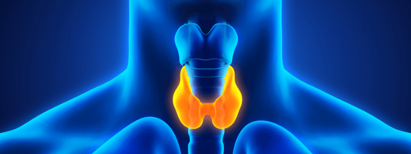 Interpreting Thyroid Function Tests