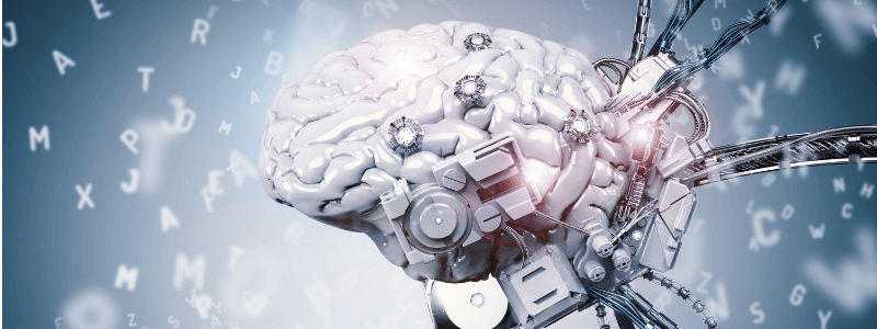 The Top 10 Tips That Make Learning Anatomy Easier