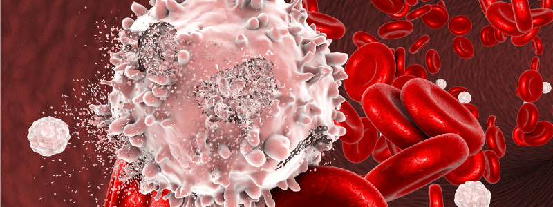 An Overview of Leukaemia