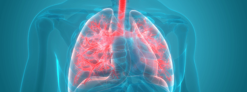 Understanding the Ventilation-Perfusion Relationship