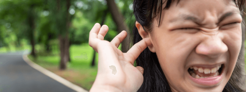 A Patient with an Insect in Their Ear