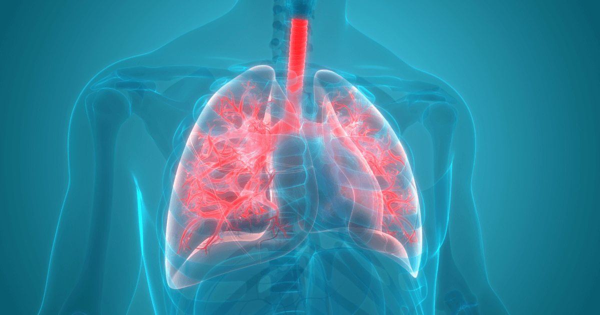 Ventilation/Perfusion (V/Q) Ratio and Mismatch