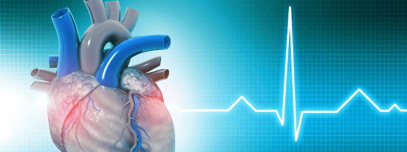 Test Your ECG Knowledge – Anatomy & Physiology