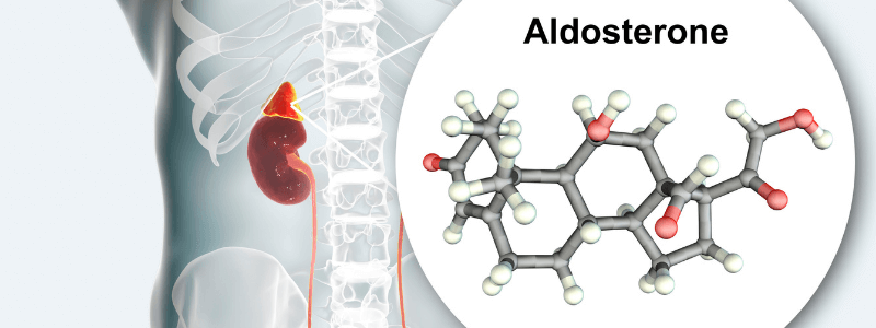 Hyperaldosteronism