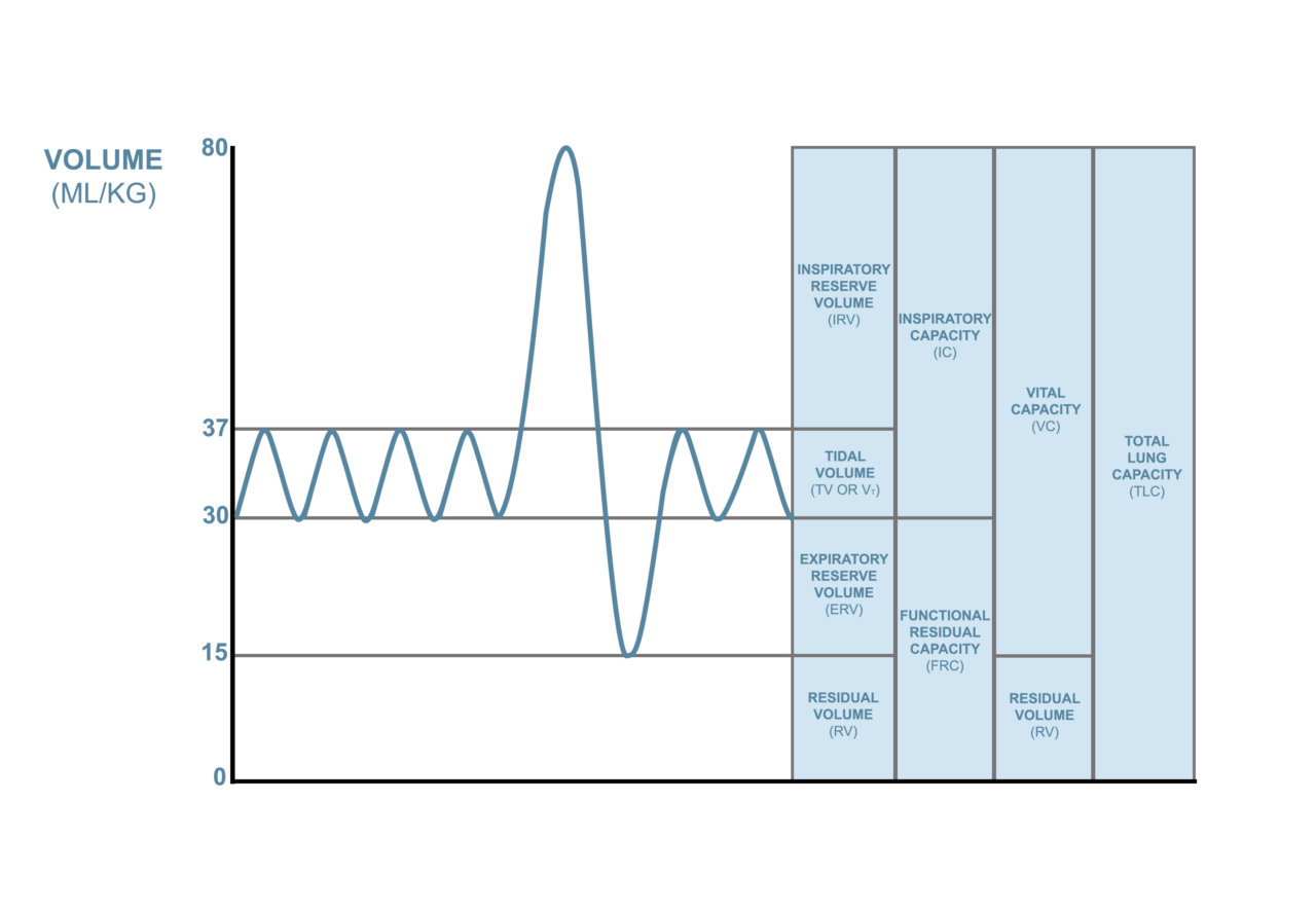 Lung Volume Chart