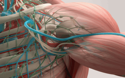 Brachial Plexus – At a Glance